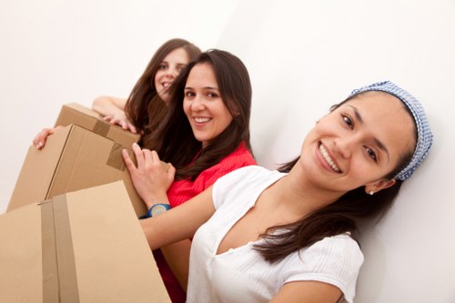 Protective packing materials for fragile items in Mayfair